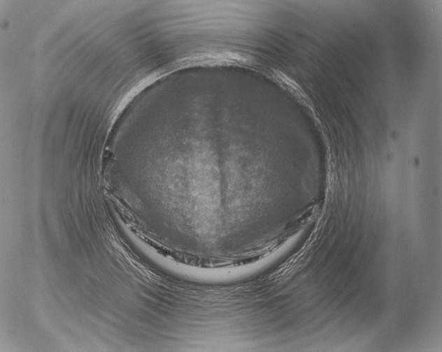 X0000053121226200508012143