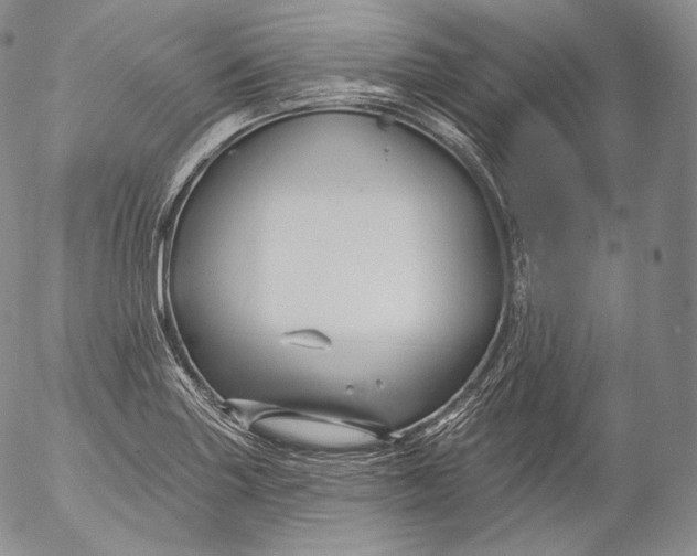 X0000053121227200508012143