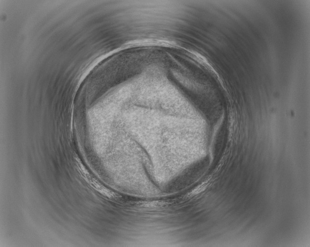 X0000053121228200508012143