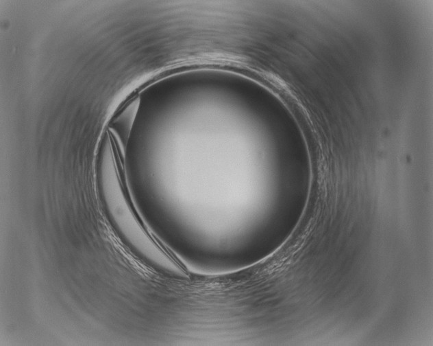 X0000053121230200508012143