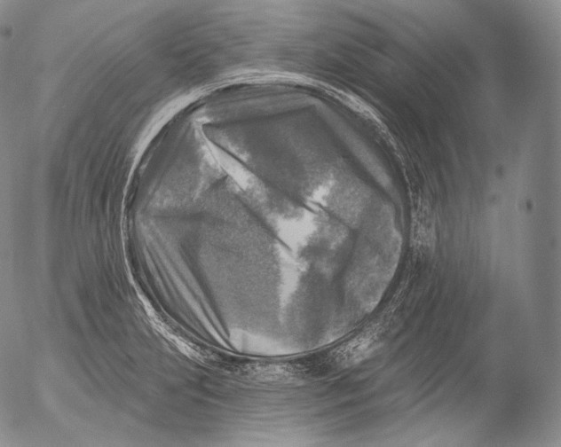 X0000053121231200508012143