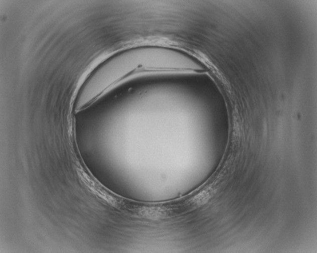 X0000053121232200508012143