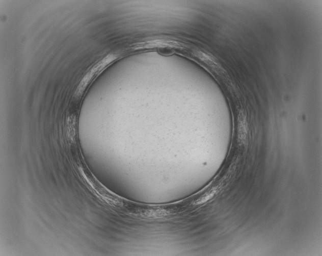 X0000053121233200508012143