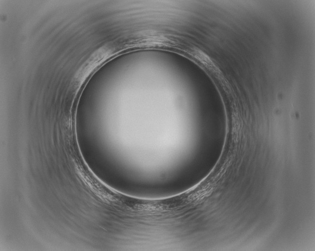 X0000053121234200508012143