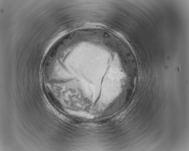 X0000053121235200508012143