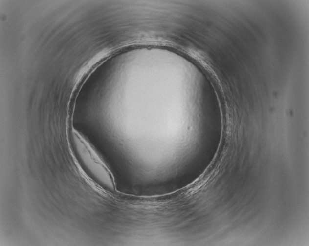 X0000053121237200508012143