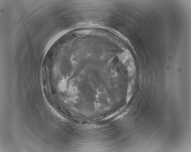 X0000053121239200508012143