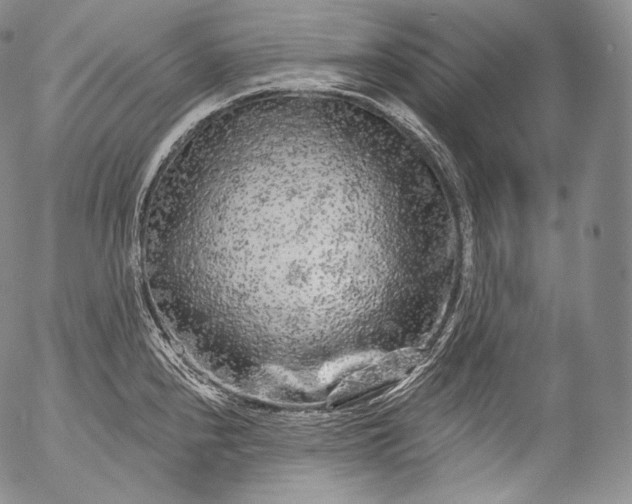 X0000053121240200508012143