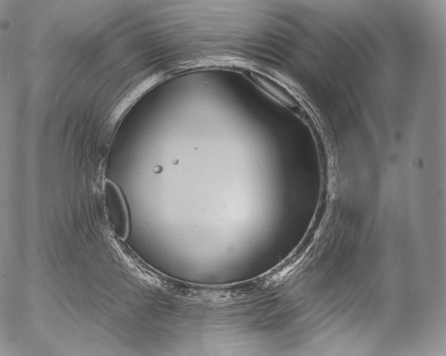 X0000053121241200508012143