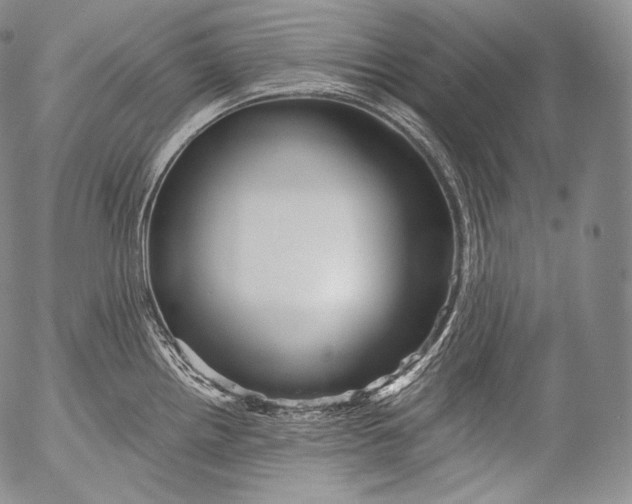 X0000053121242200508012143