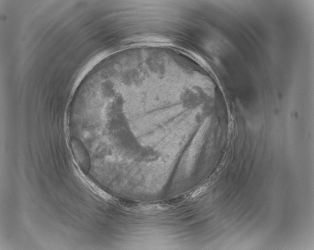 X0000053121243200508012143