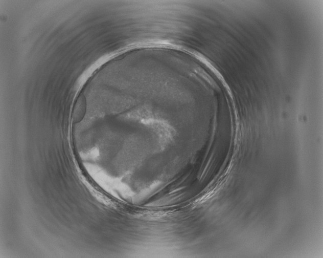 X0000053121245200508012143