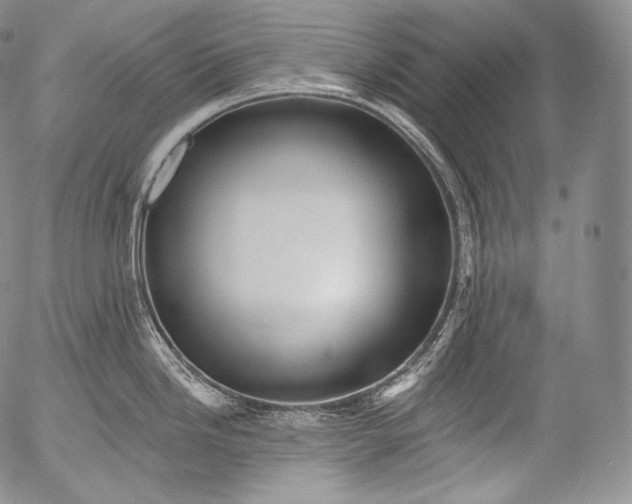 X0000053121246200508012143