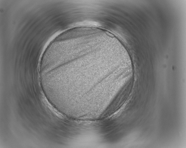 X0000053121248200508012143