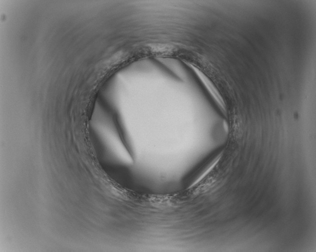 X0000053121249200508012142