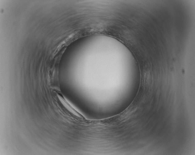 X0000053121250200508012142