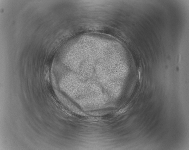 X0000053121251200508012142