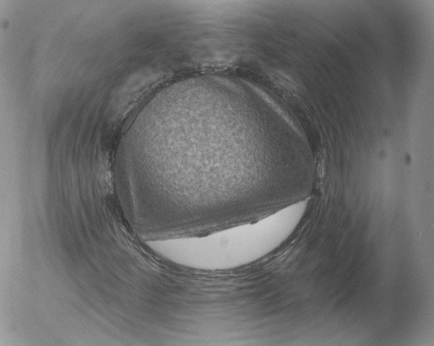 X0000053121252200508012142