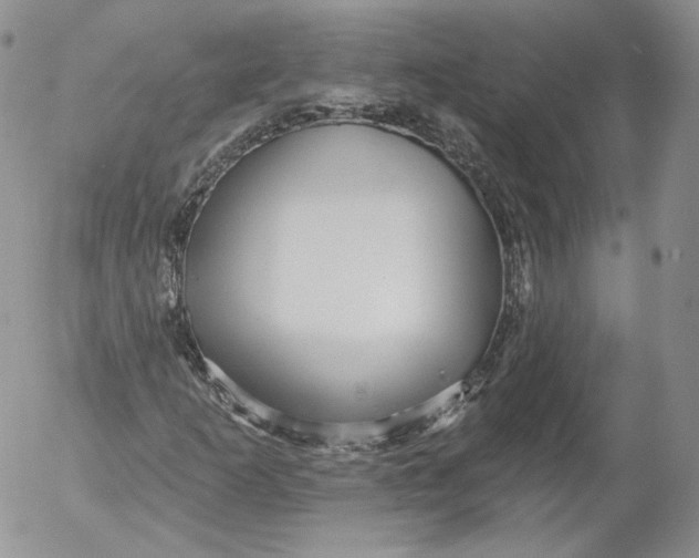 X0000053121253200508012142