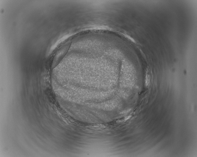 X0000053121255200508012142