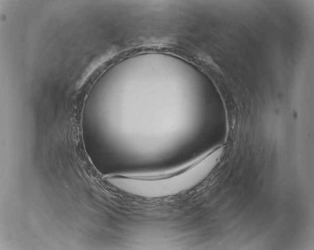 X0000053121256200508012142