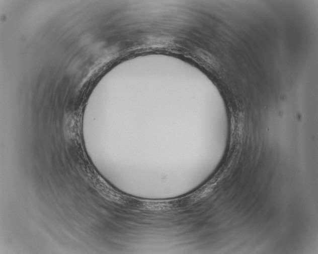 X0000053121258200508012142