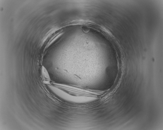 X0000053121259200508012142