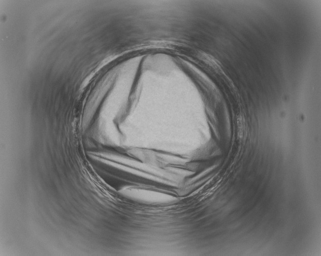 X0000053121260200508012142