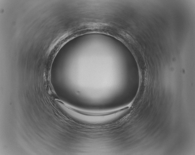 X0000053121261200508012142