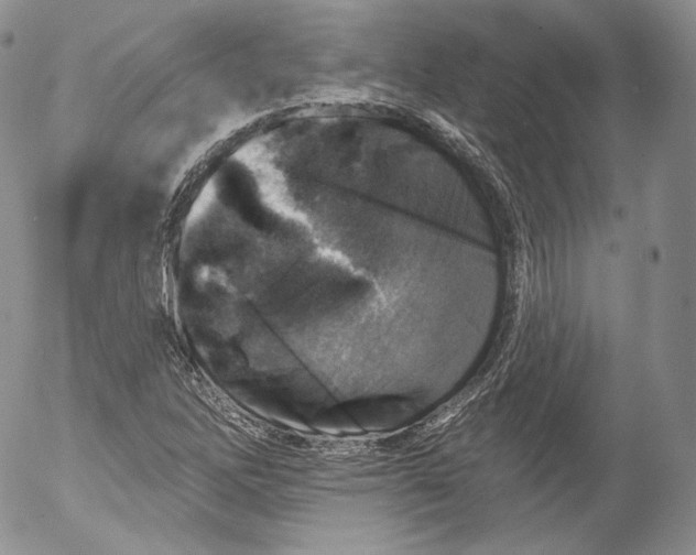 X0000053121262200508012142