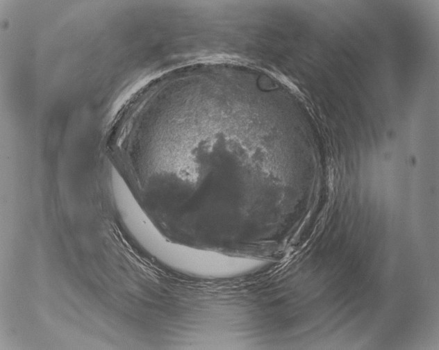 X0000053121263200508012142