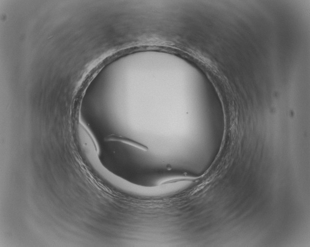 X0000053121264200508012142