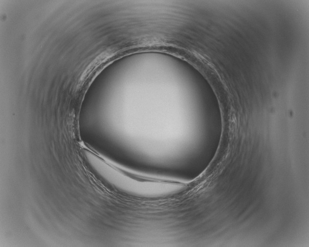 X0000053121265200508012142