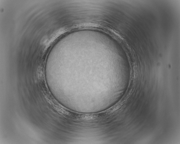 X0000053121266200508012142