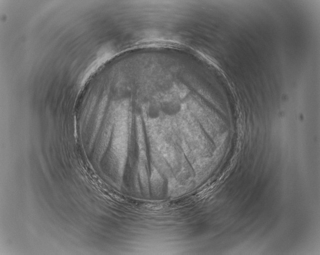 X0000053121267200508012142