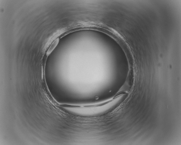 X0000053121269200508012142