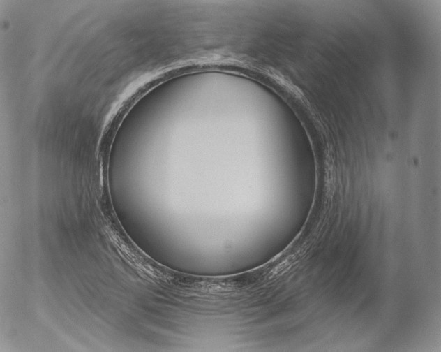 X0000053121270200508012142