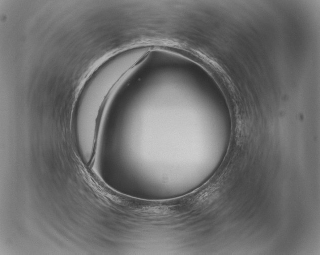 X0000053121272200508012142