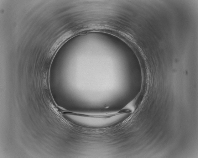 X0000053121273200508012142