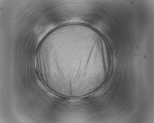 X0000053121274200508012142