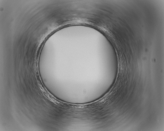 X0000053121278200508012142