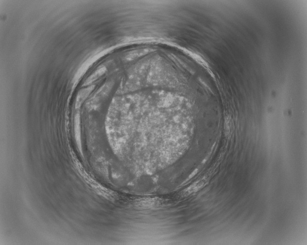 X0000053121279200508012142