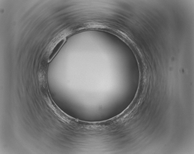 X0000053121281200508012142