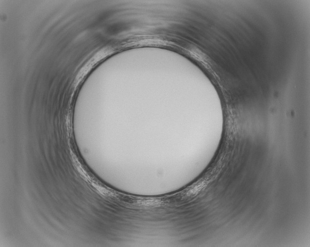 X0000053121282200508012142