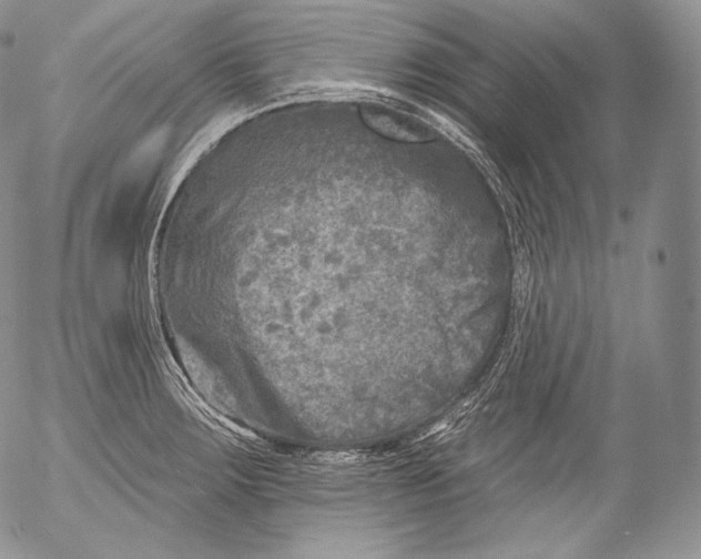 X0000053121283200508012142