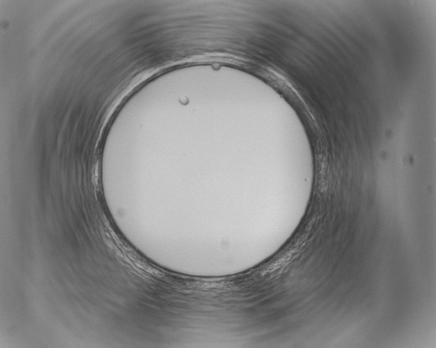 X0000053121284200508012142