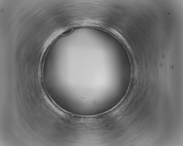 X0000053121285200508012142