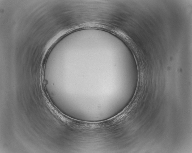 X0000053121286200508012142