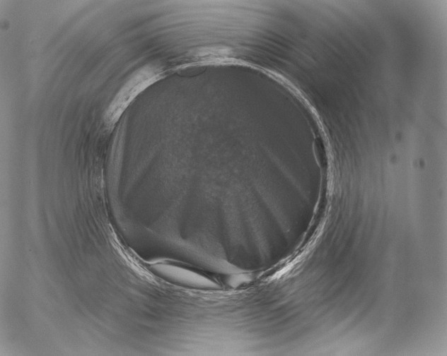 X0000053121289200508012142