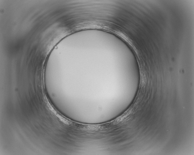 X0000053121290200508012142